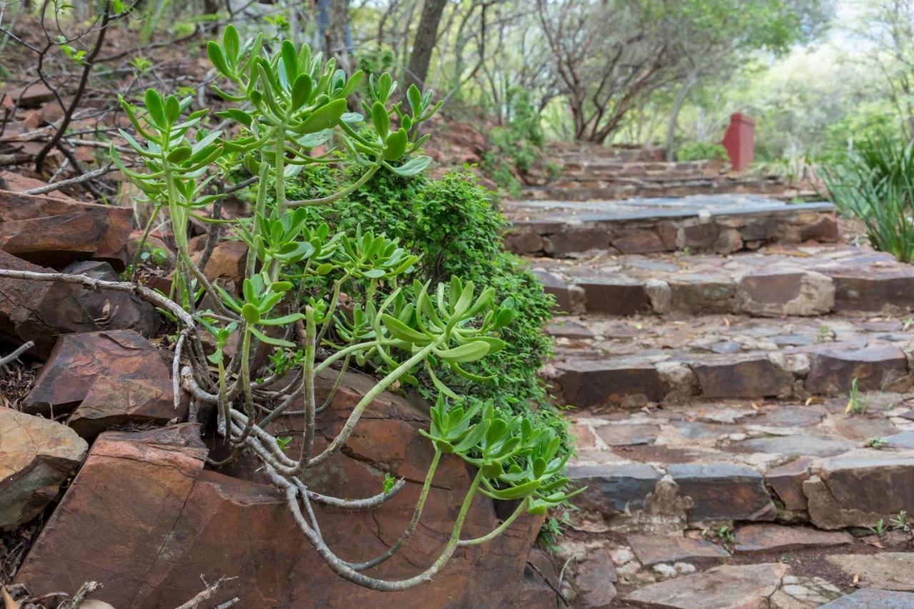 Harties Is Africa Safari Lodge Kosmos Exterior foto
